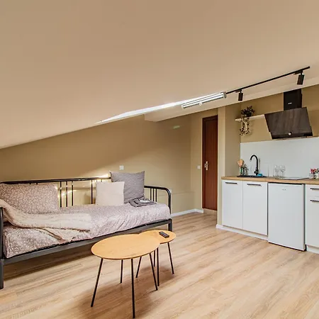 Skyline - Center Apartman *